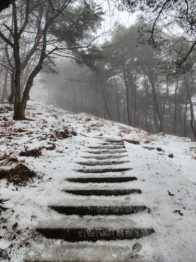 3월에 눈 쌓인 성암산 등산로