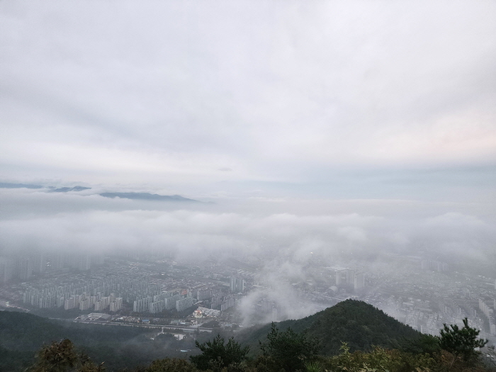 안개 낀 성암산 정상 vs 안개 없는 성암산 정상