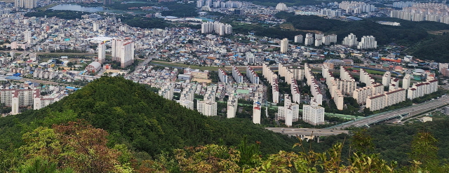 성암산에서 바라본 경산 옥곡동 옥곡지구