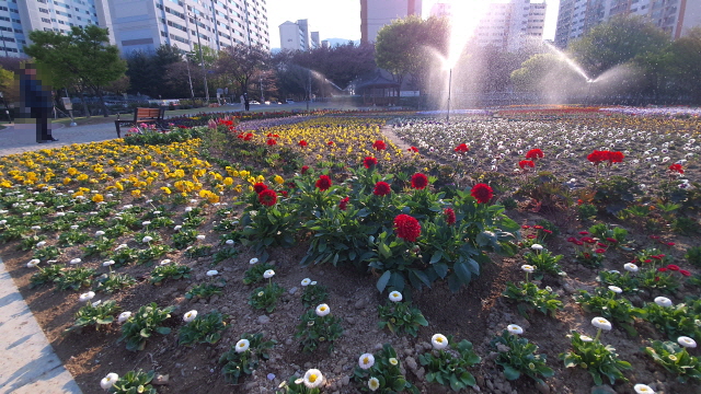 옥곡동 남천 강변공원