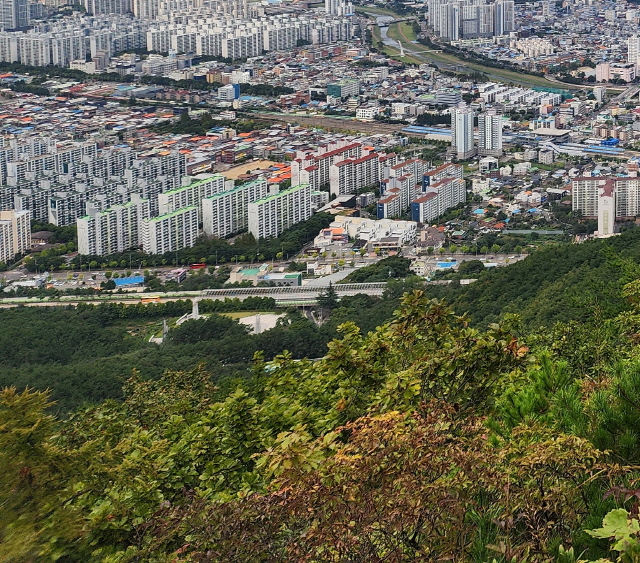경산 사정동