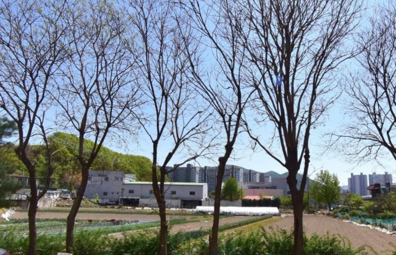 경산시 삼북동 삼북중공아파트 24평형 매매