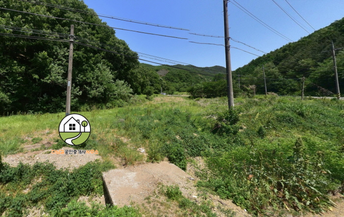 영천시 신녕면 화서리 토지(땅) 매매