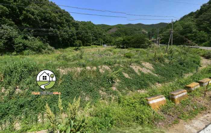 영천시 신녕면 화서리 토지(땅) 매매