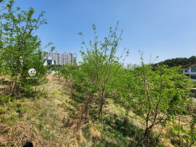 경산 옥산동 식당·카페용 토지(땅) 임대