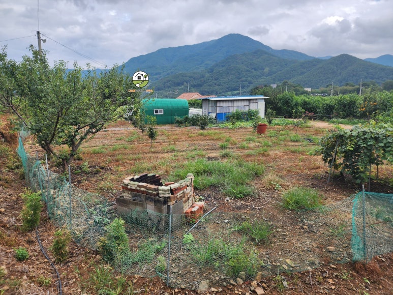 경상북도 청도군 청도읍 사촌리 약468평 토지 매매